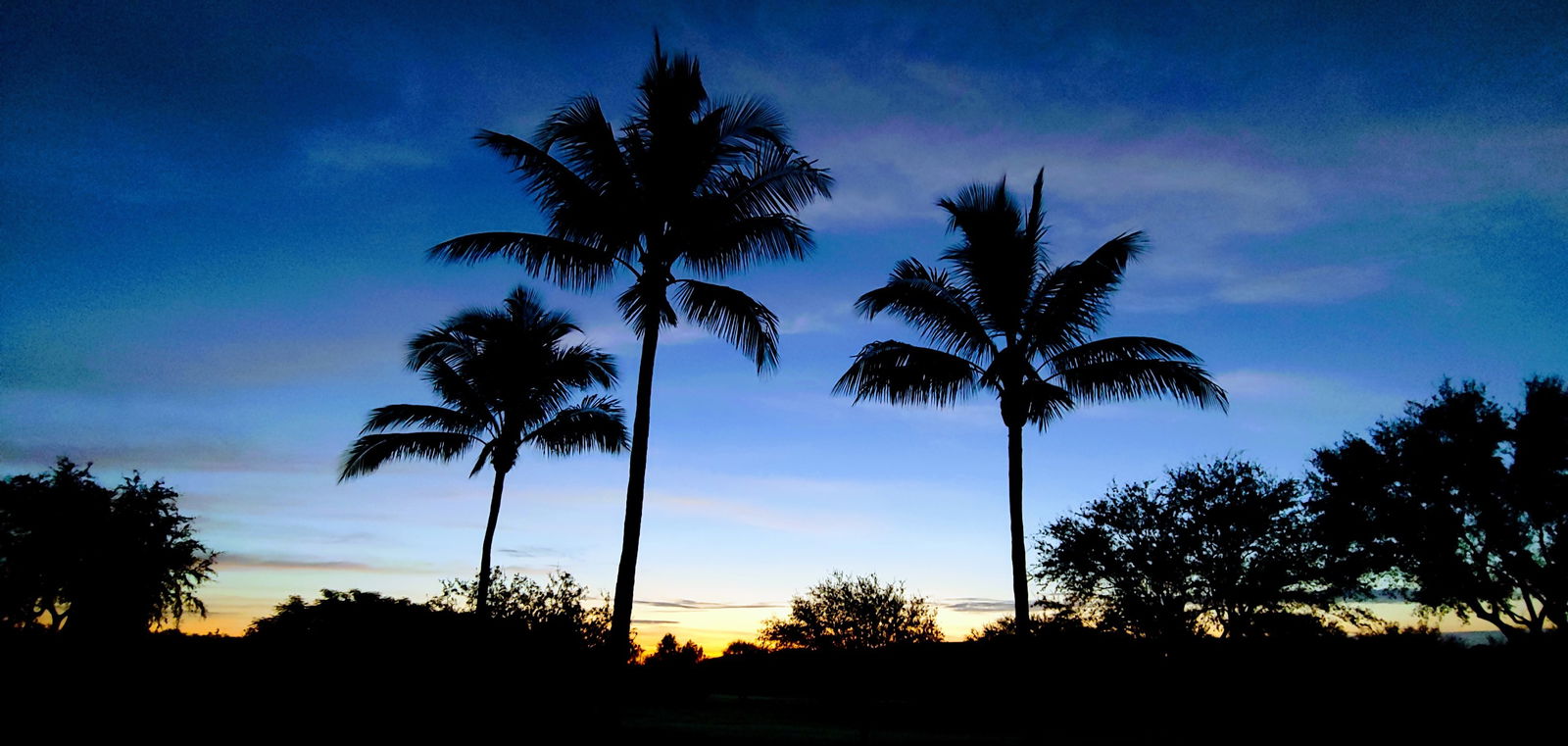 SWFL_Fun profile banner