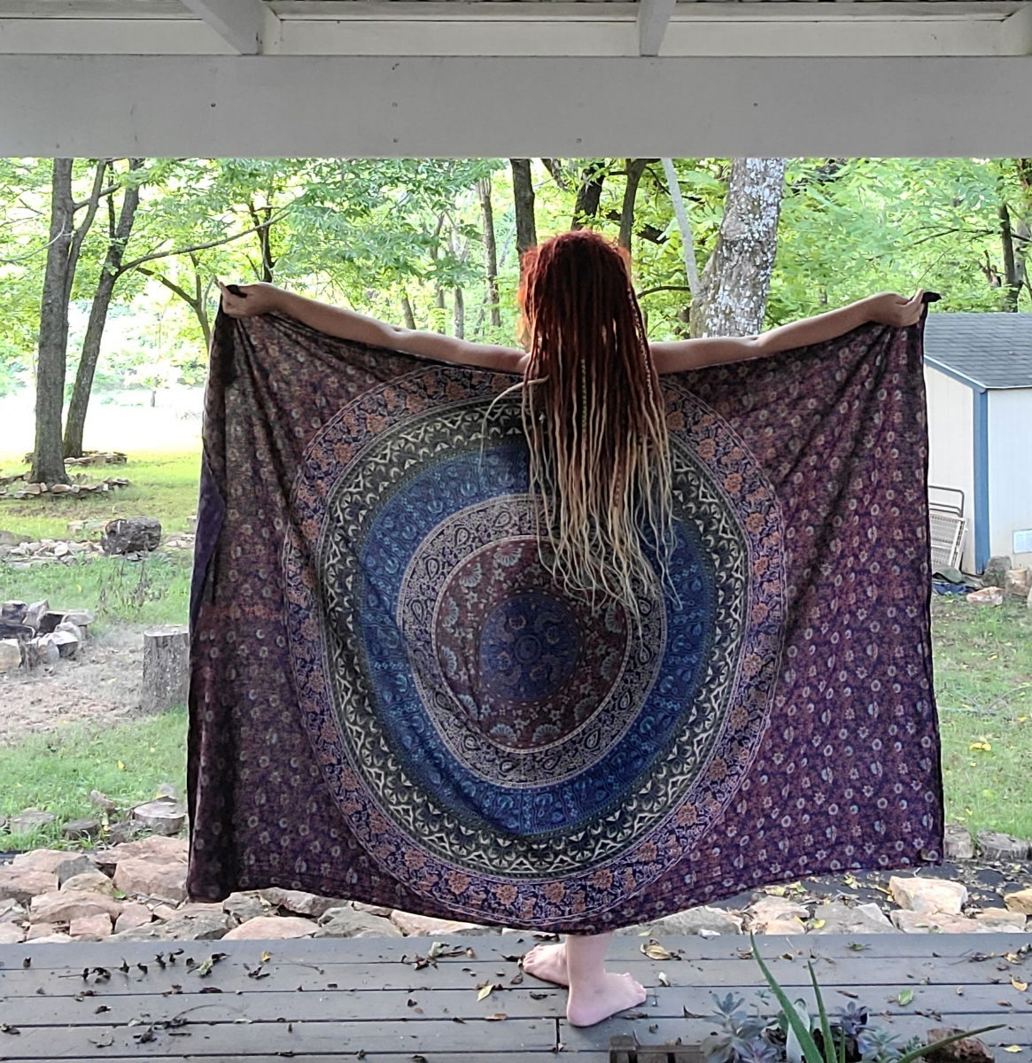 Willow profile banner