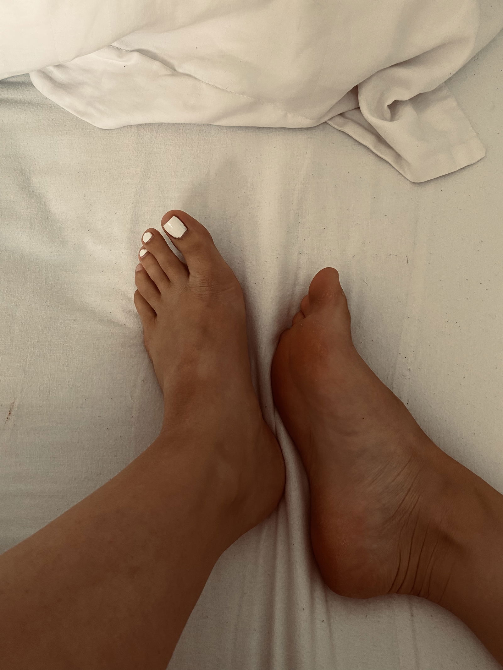 S&H feet profile banner