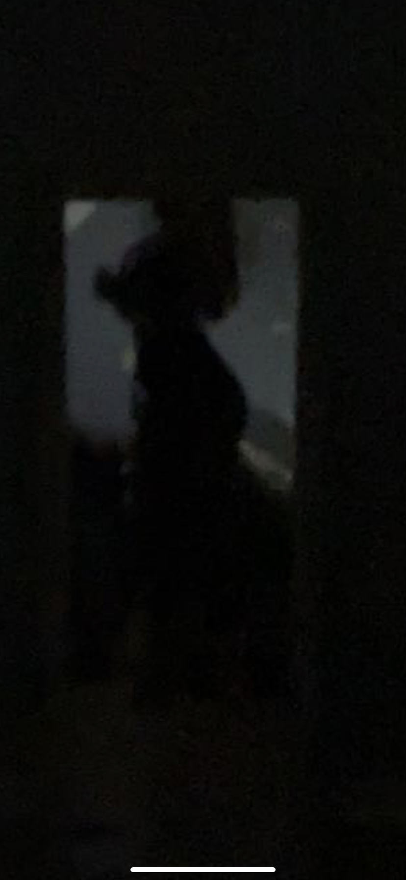 Mry profile banner