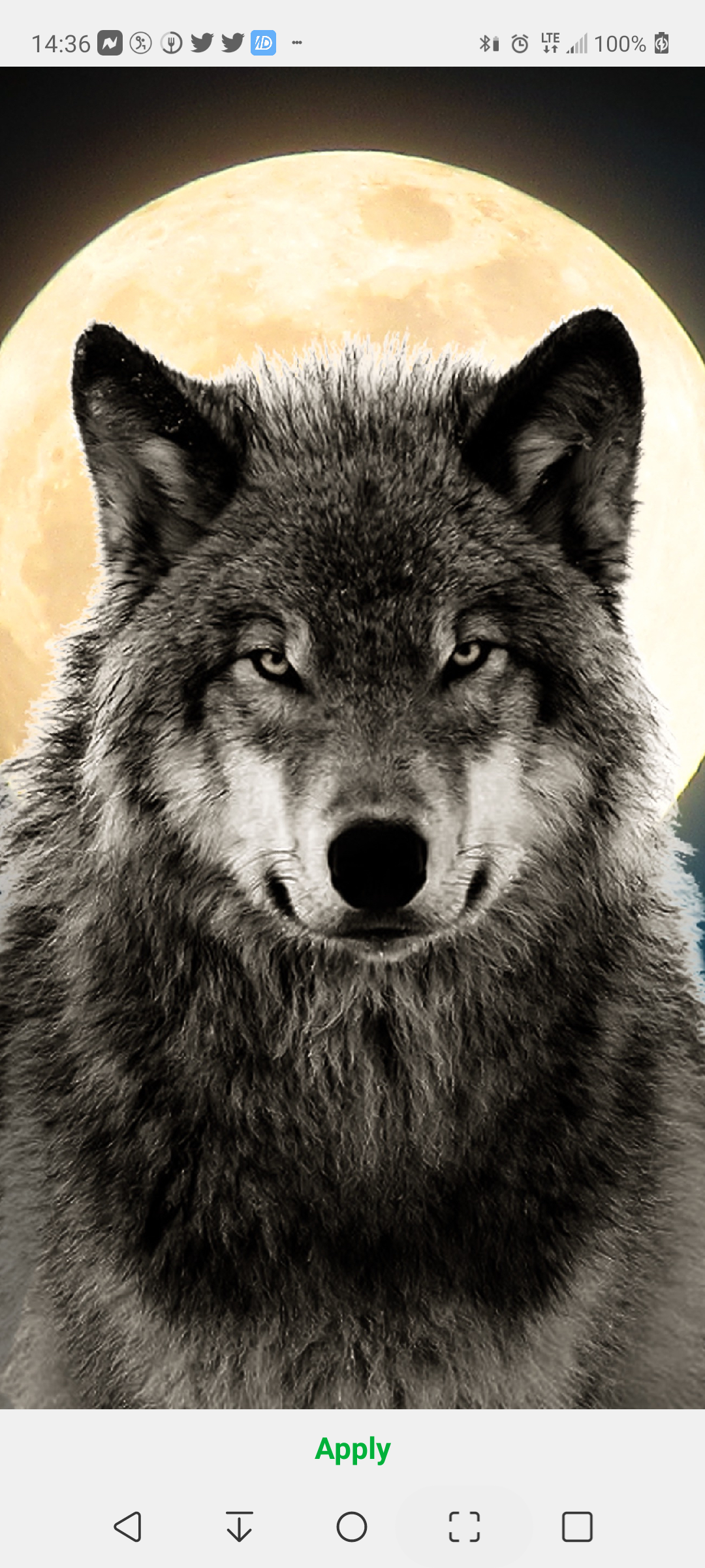 Aketcheta profile banner