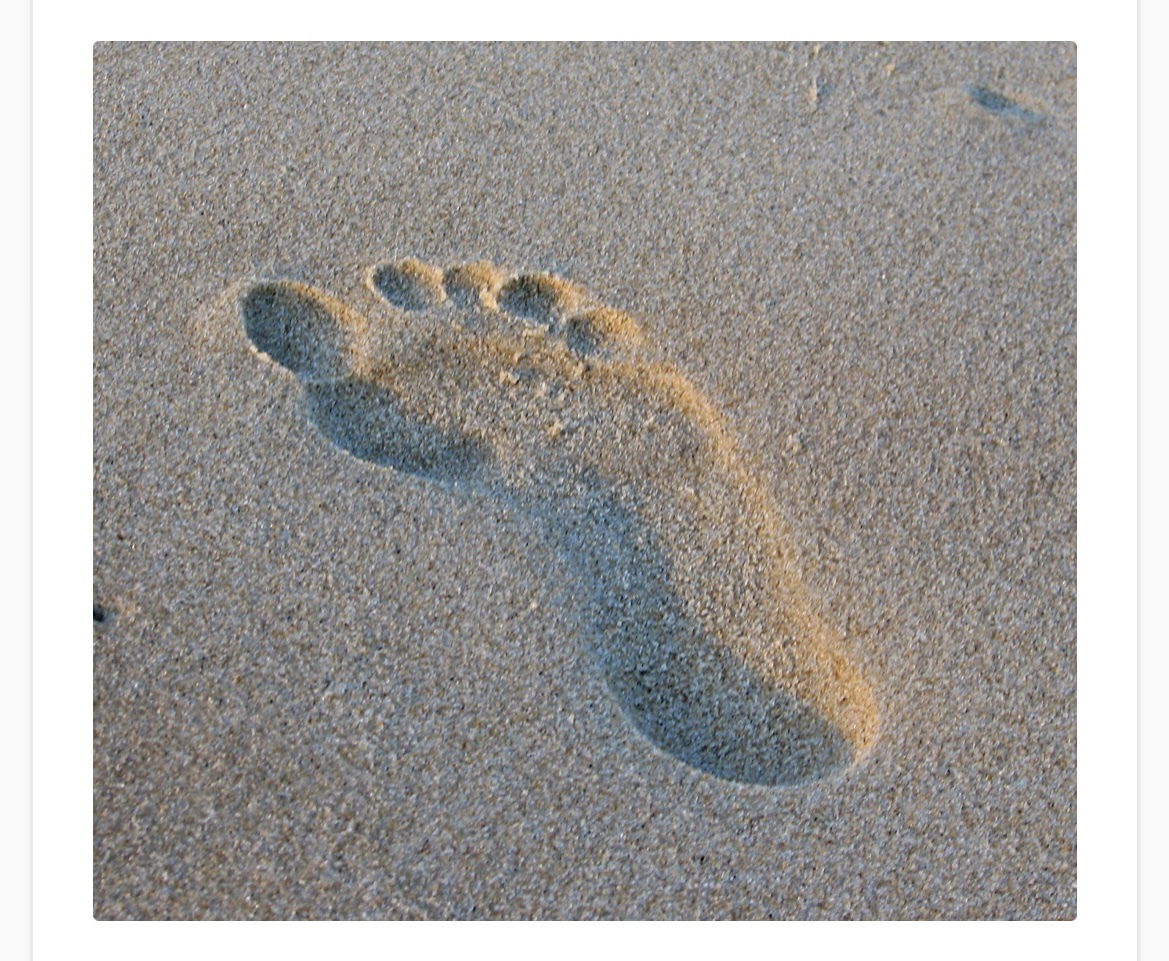 Petite Feet profile banner