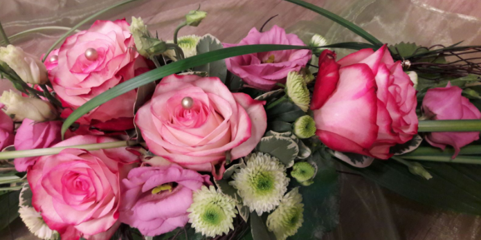 Lilly Cheery profile banner