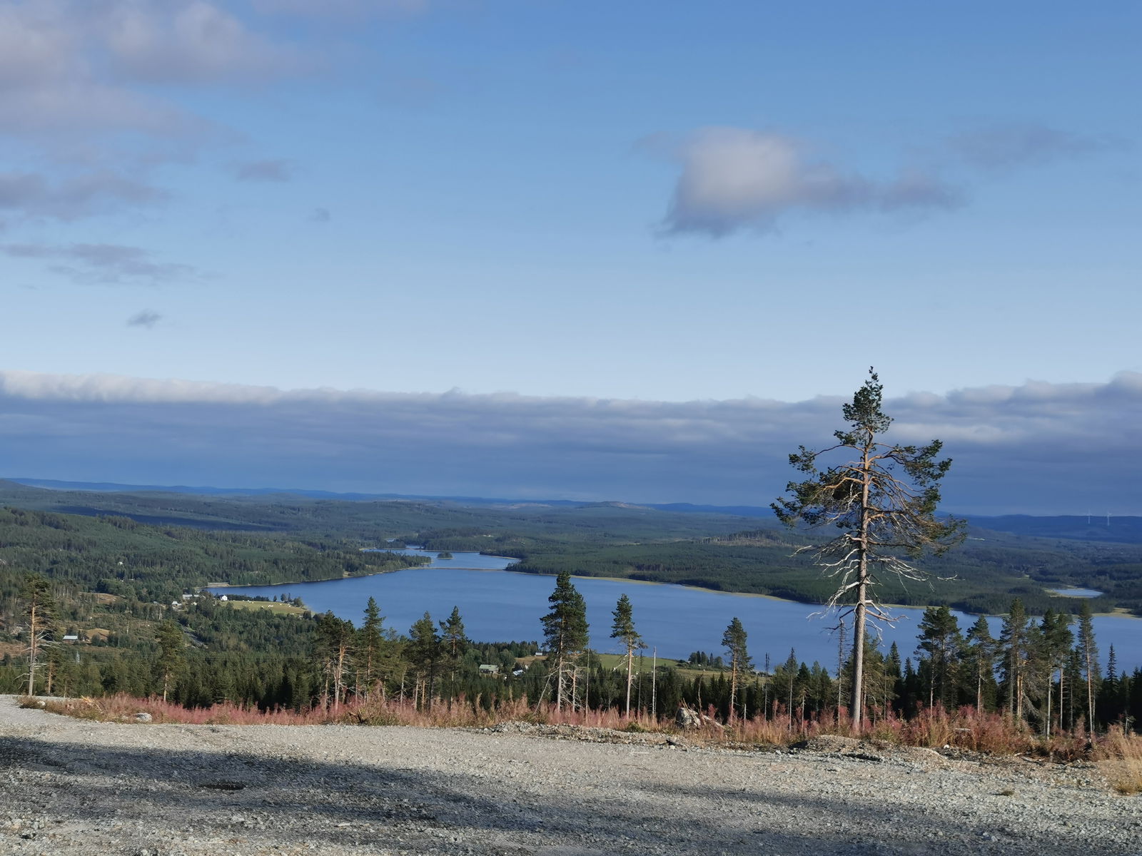 Michaela Johansson profile banner