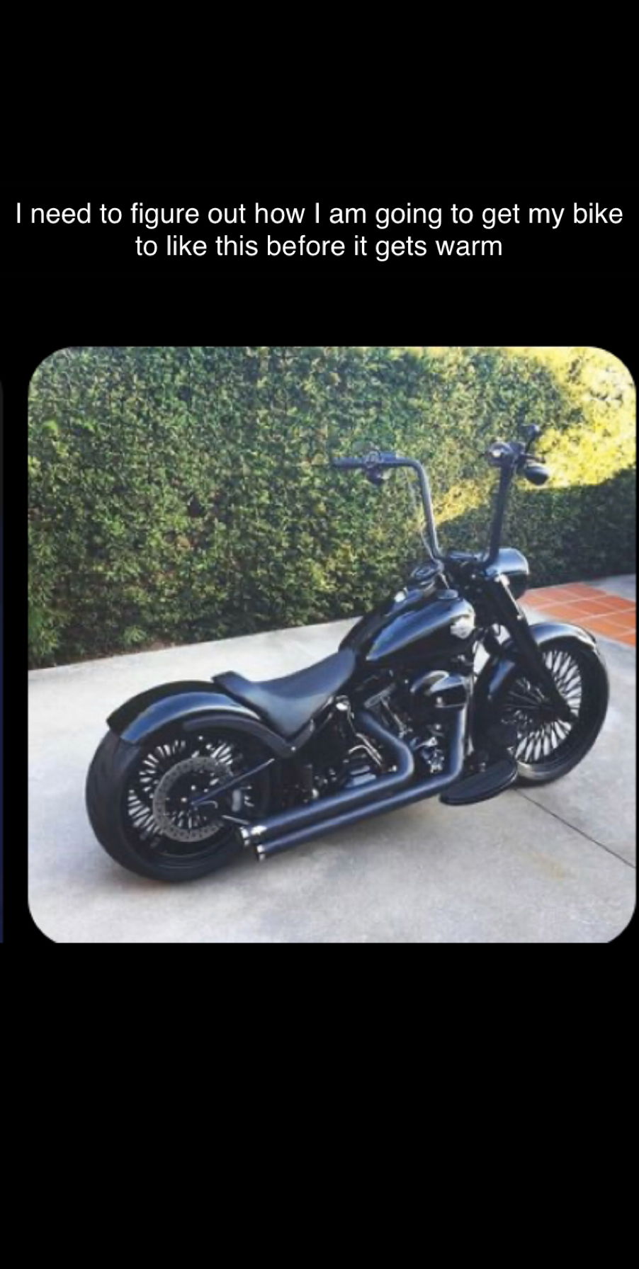 Bikerchic profile banner