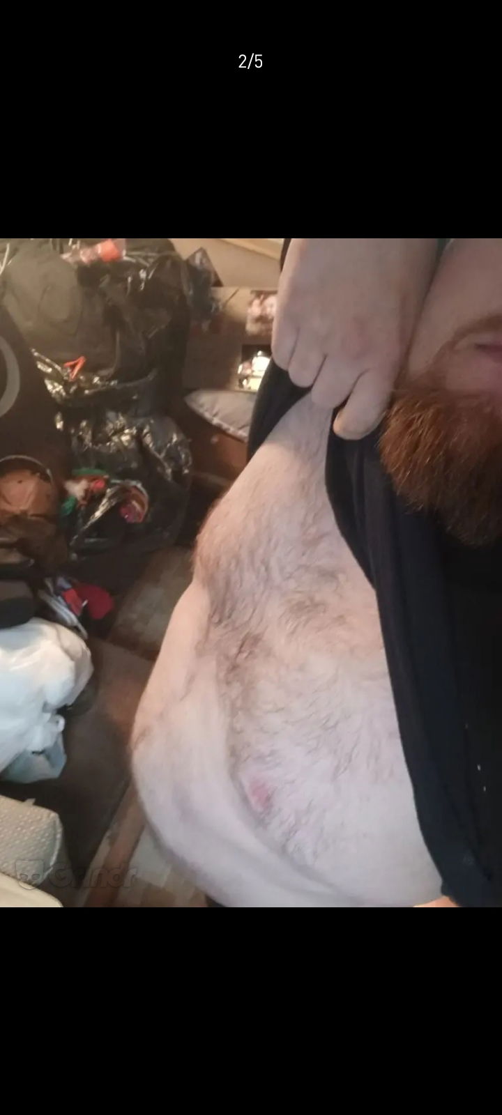 Bear cub profile banner