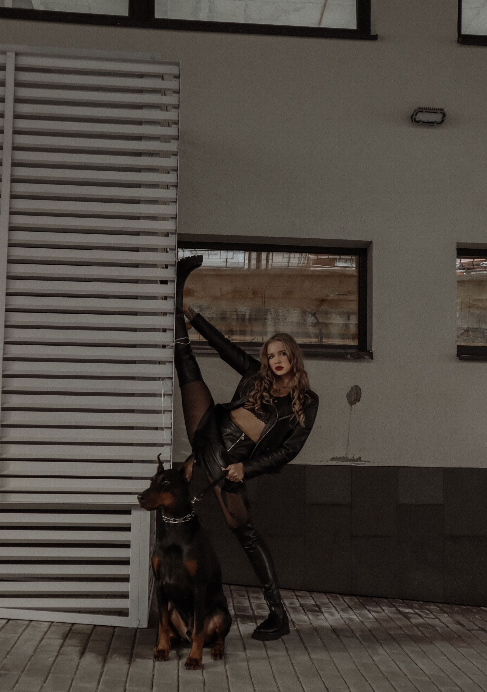 Darya profile banner