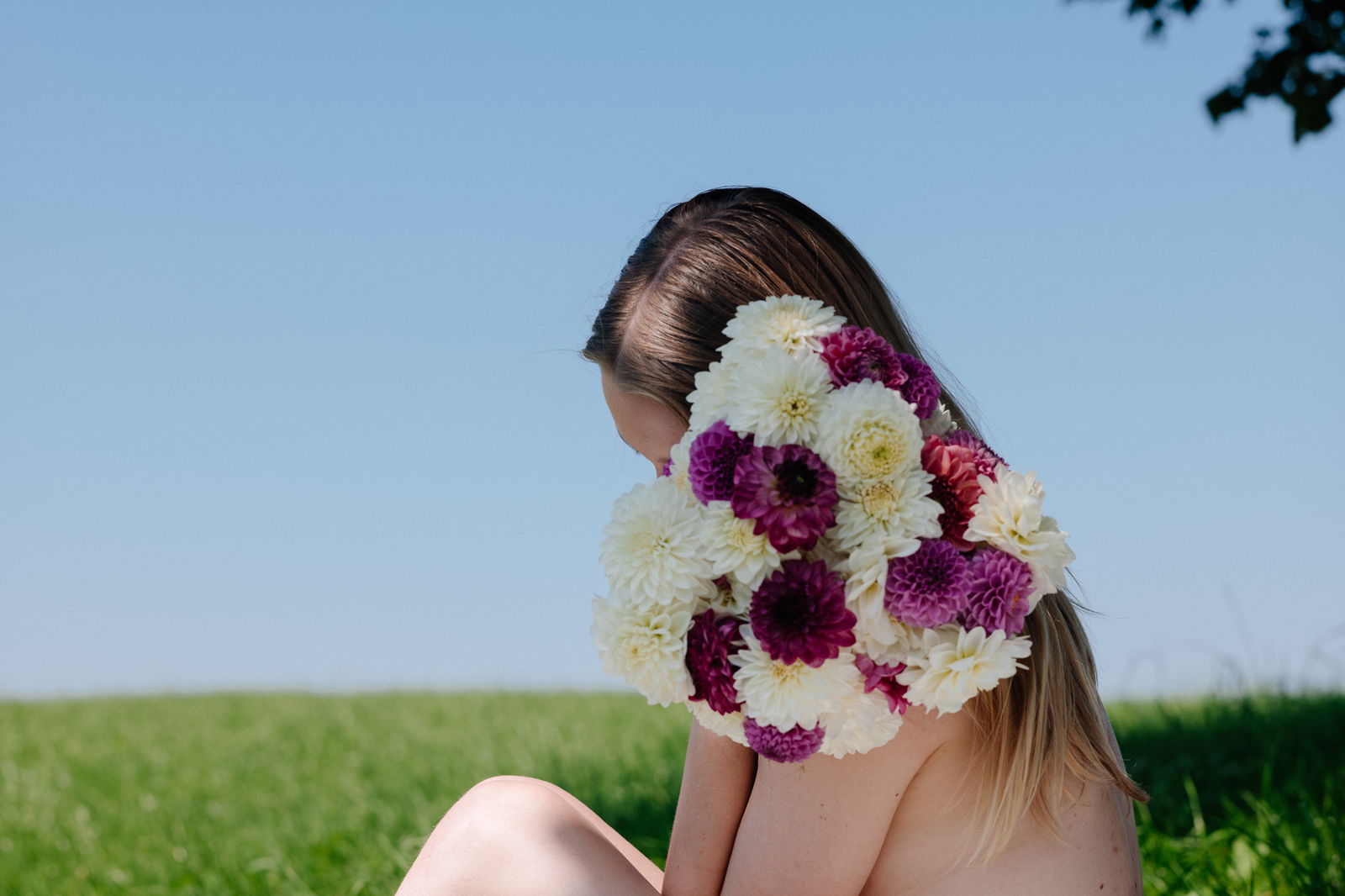 Celeste-Rose profile banner