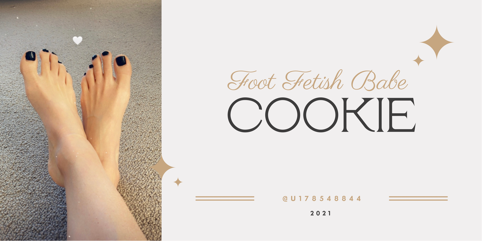 ⭐️Cookie⭐️ profile banner