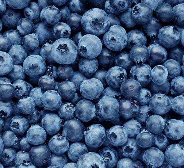 Simpleblueberry profile banner