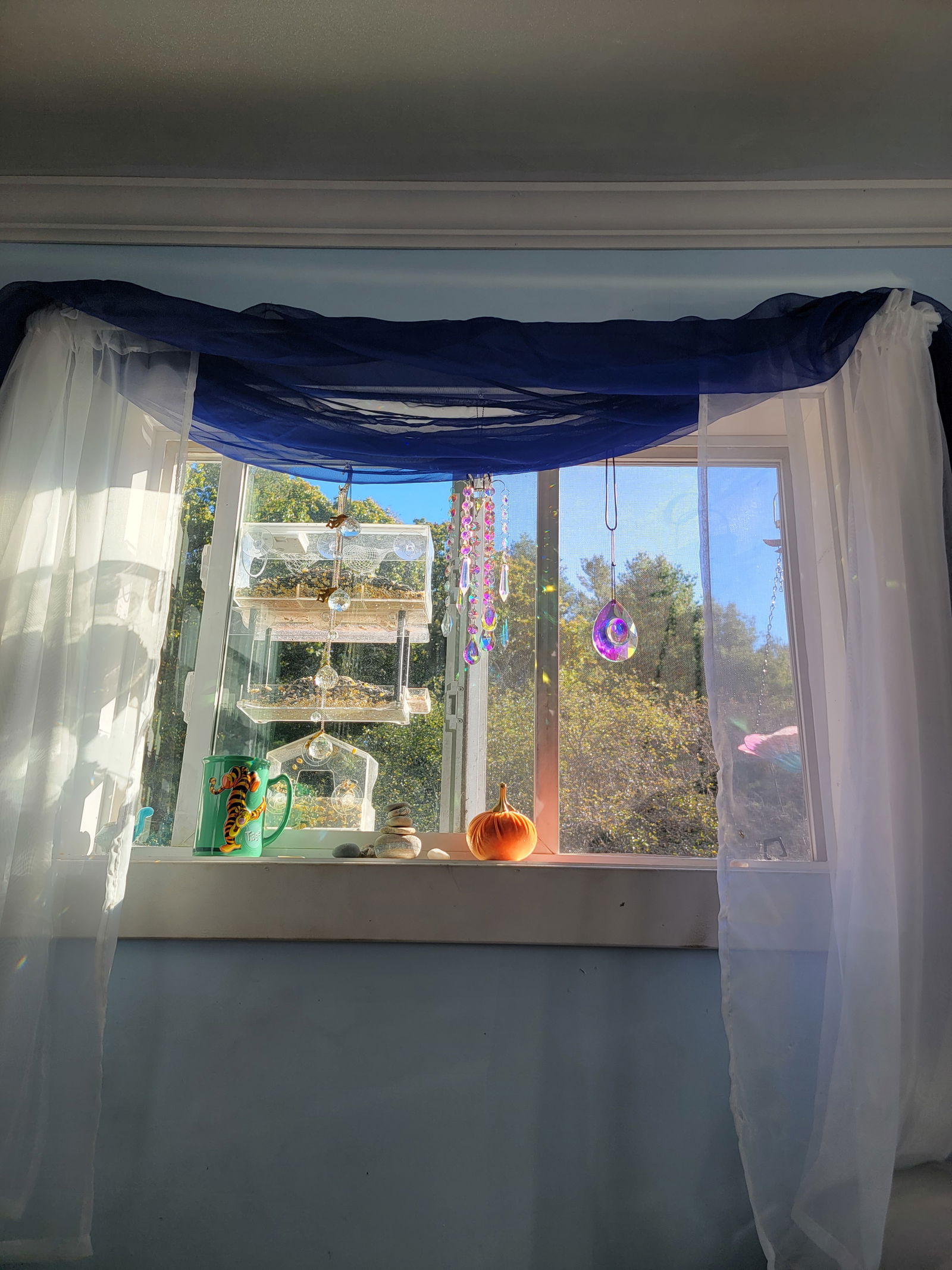 Angels eyes profile banner