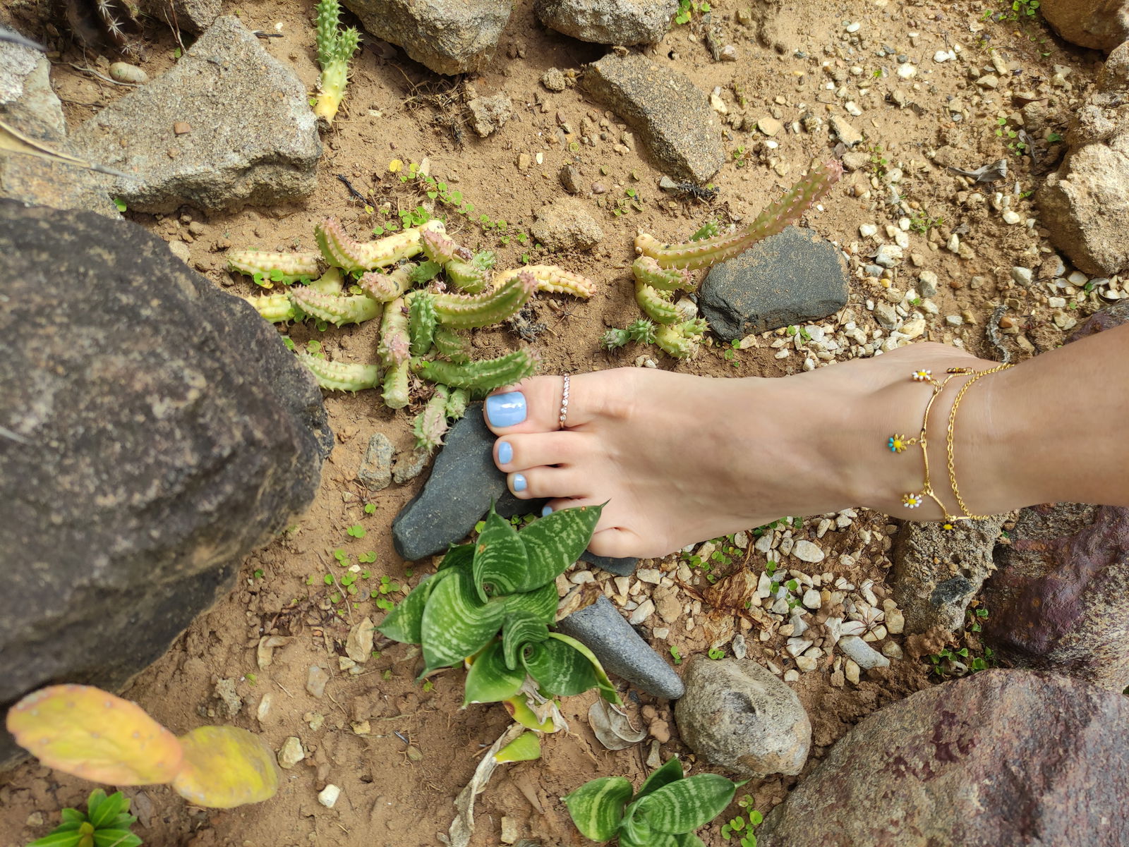 Qty Feet profile banner