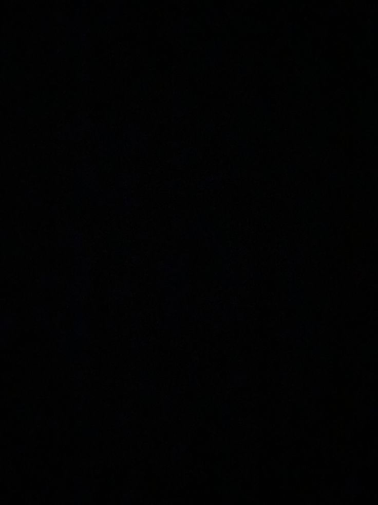 Evelyn profile banner