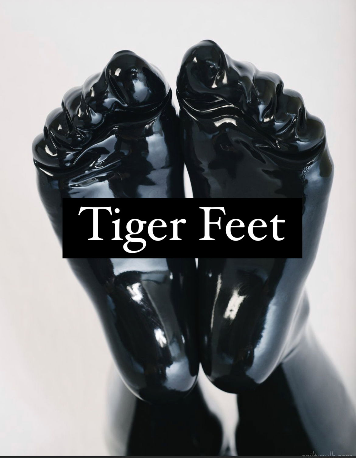 Tiger Feet - Fearlessly Savage profile banner