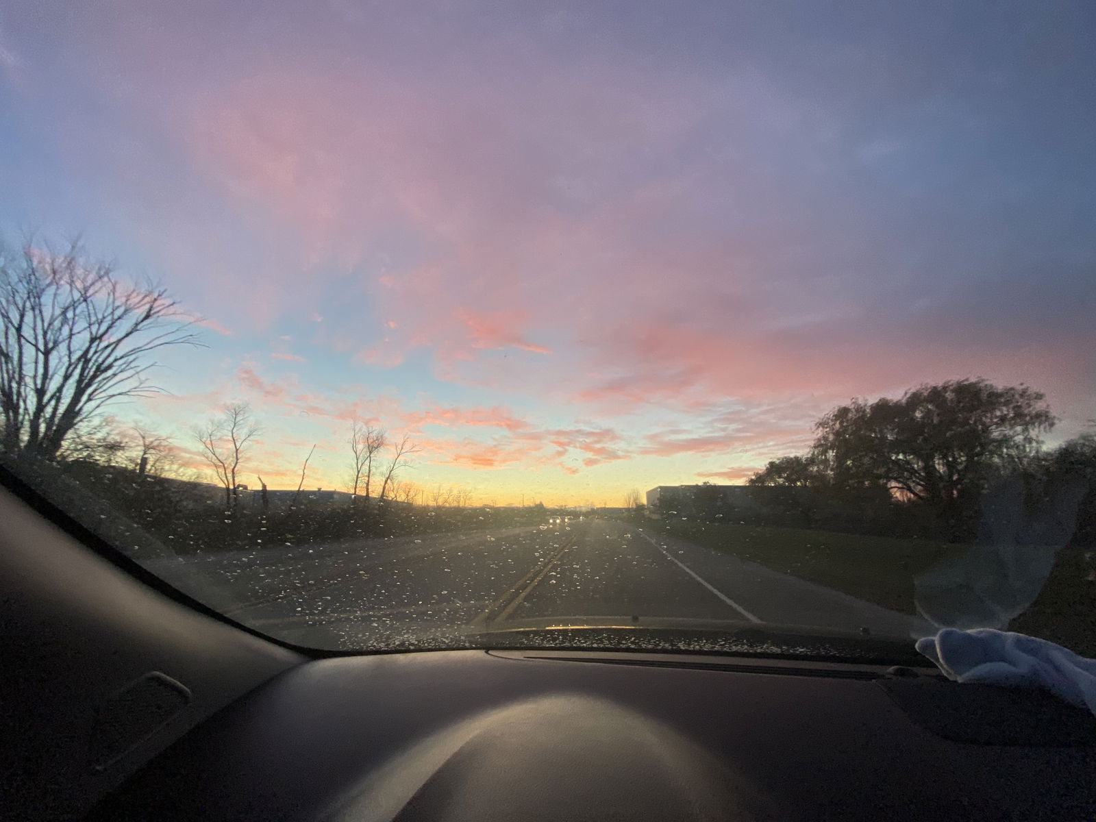 Ginger profile banner