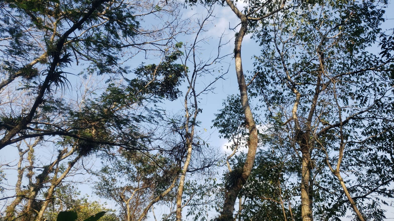 Mara Hernández profile banner