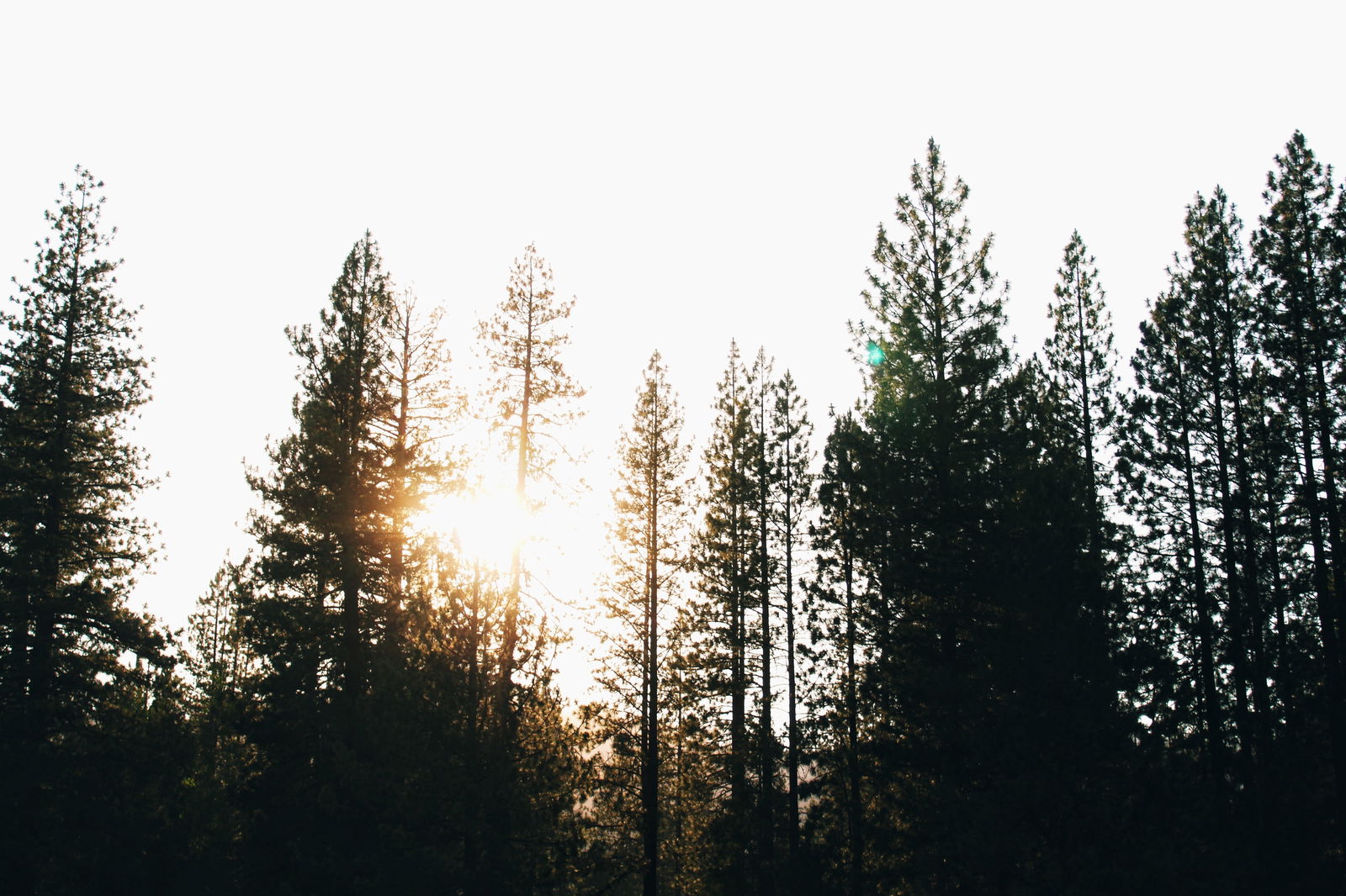 KB profile banner