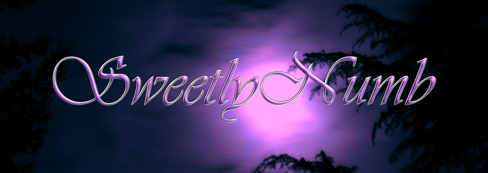 SweetlyNumb profile banner