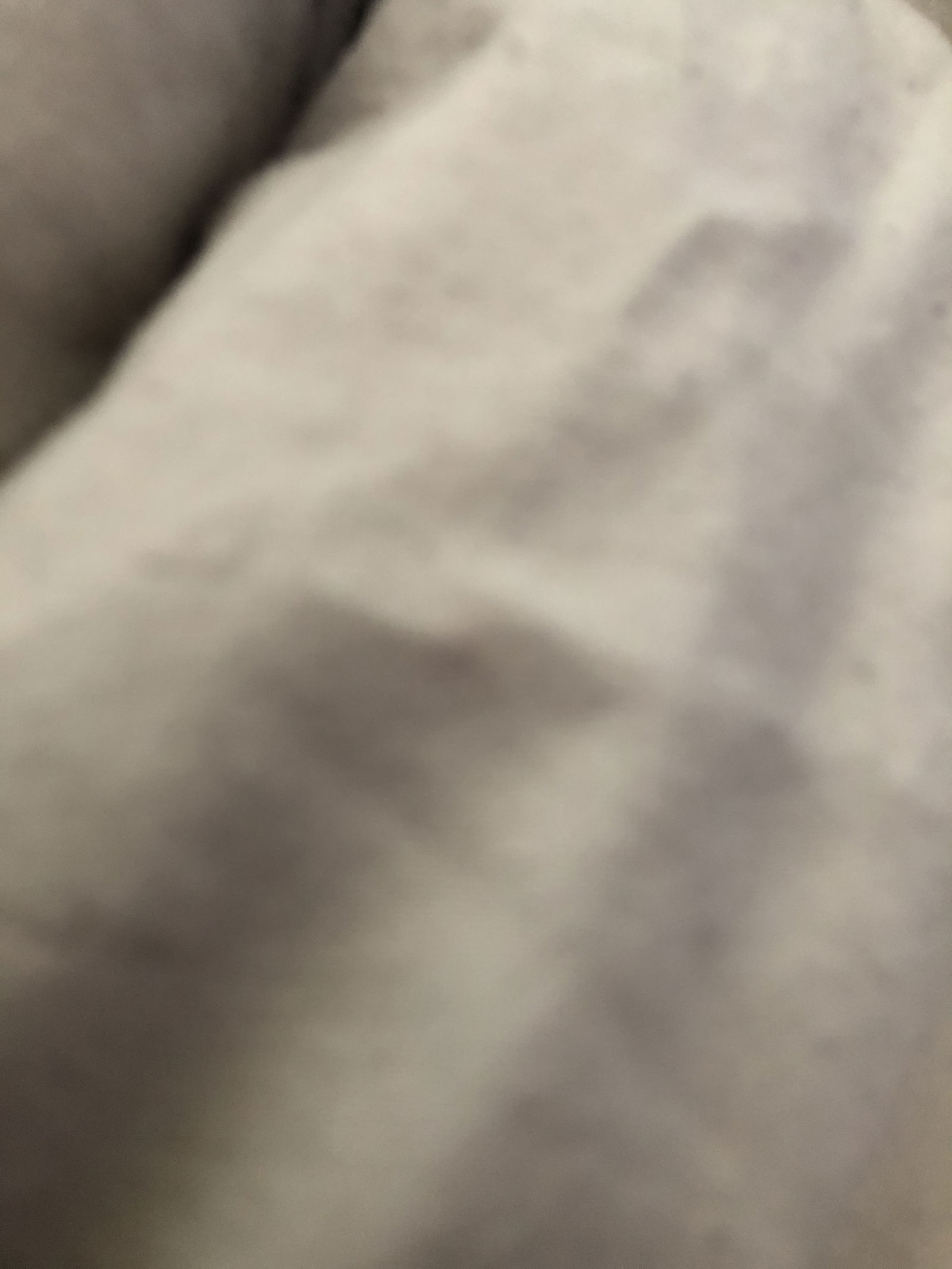 SassyTreacle profile banner