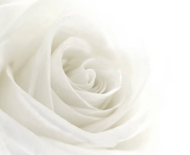 Emiliiiiii profile banner