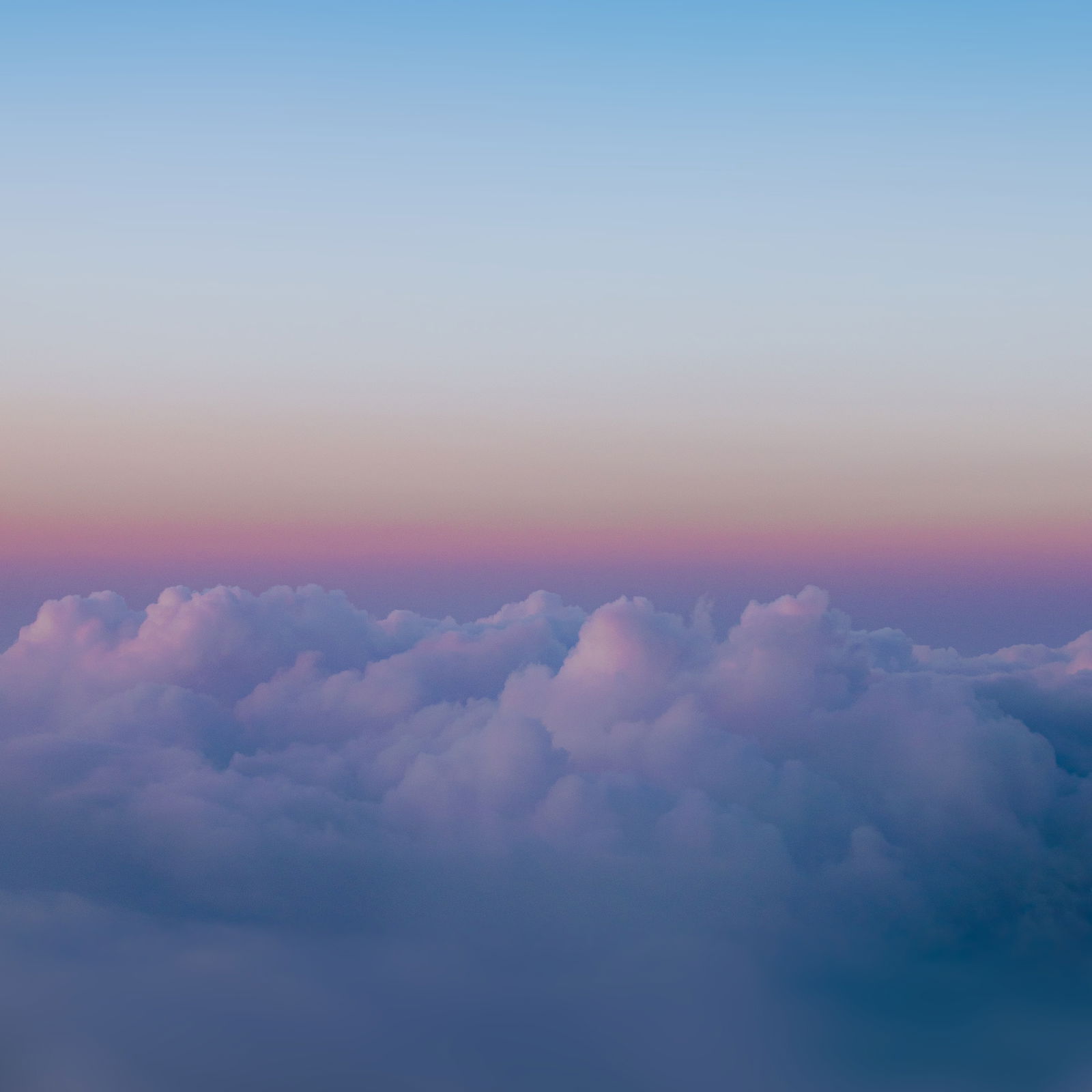 Sophi Volga profile banner
