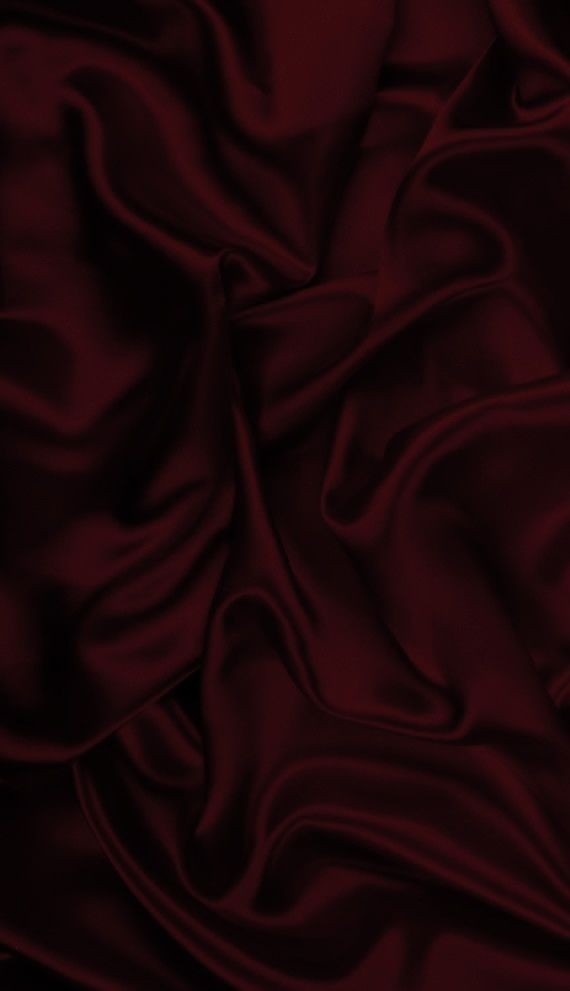Scarlet ๐๐ถ๏ธ profile banner