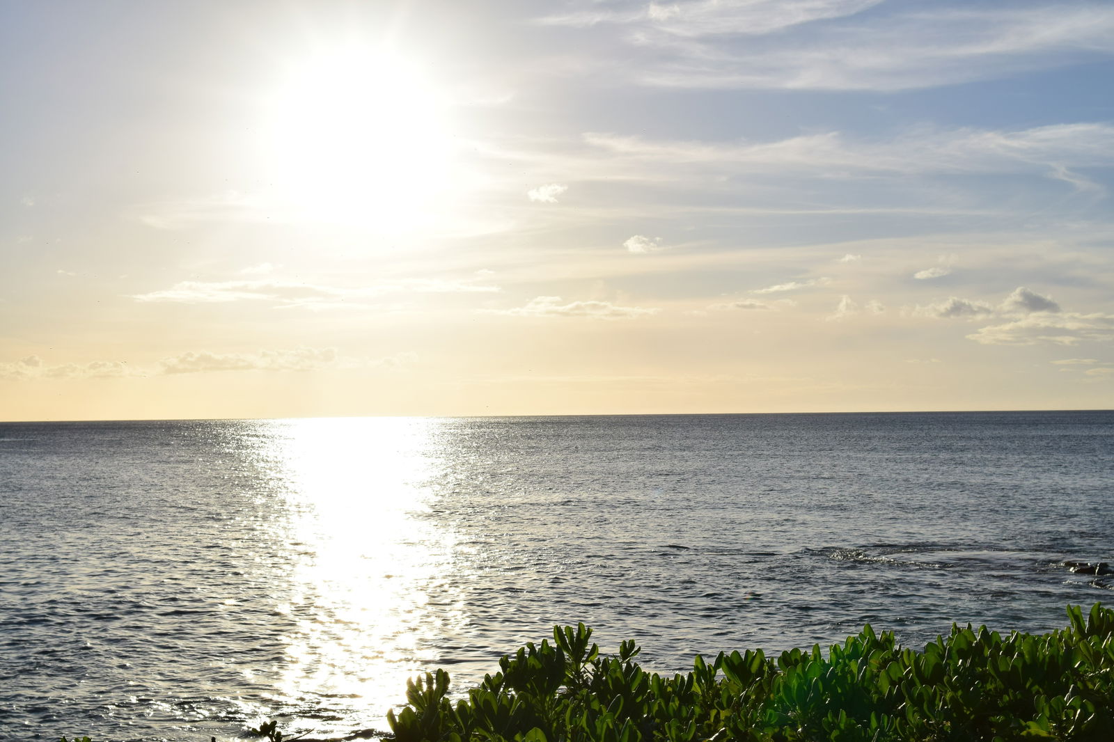 JadeNextDoor profile banner