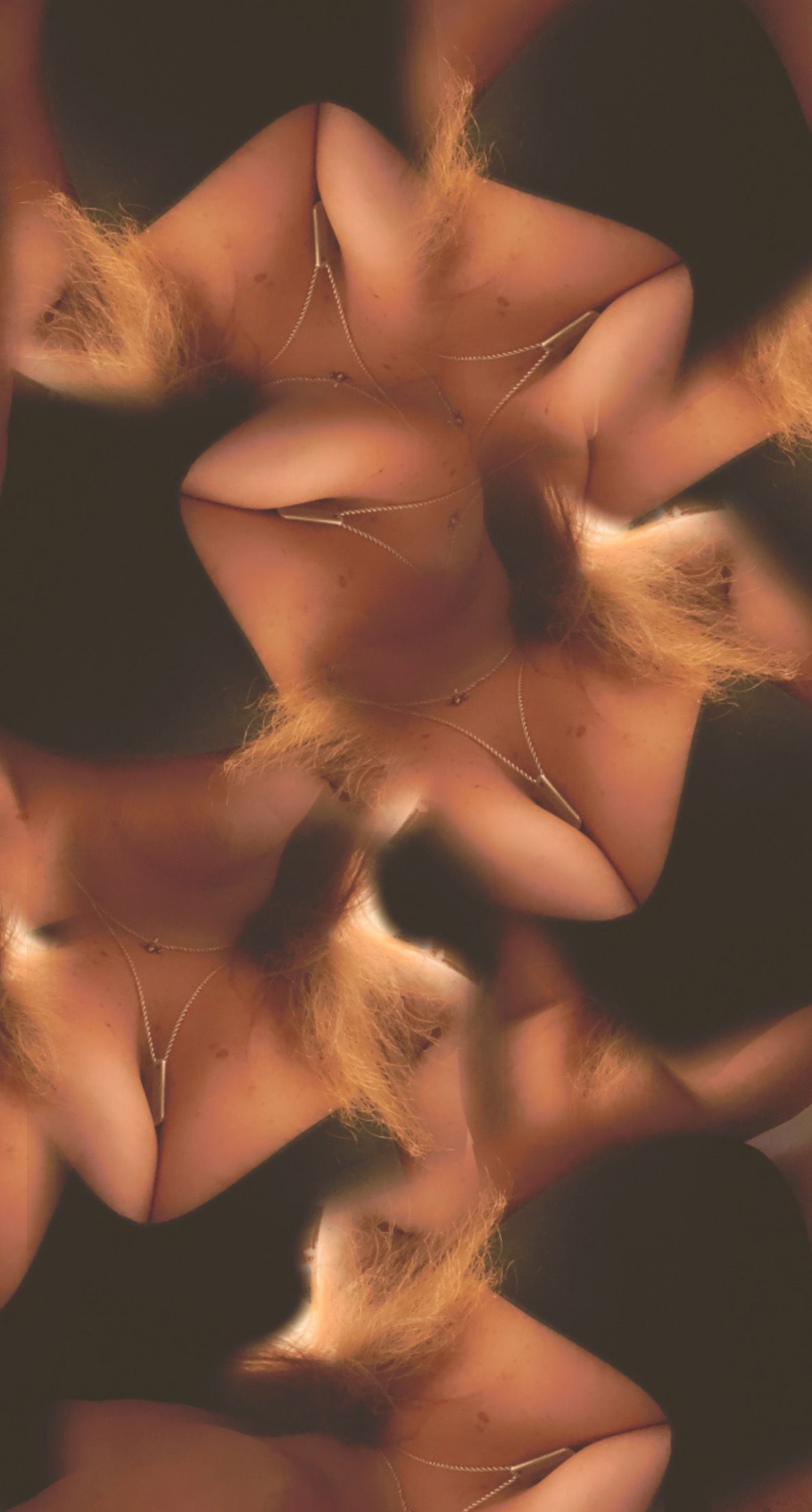 Coateee π¦ profile banner