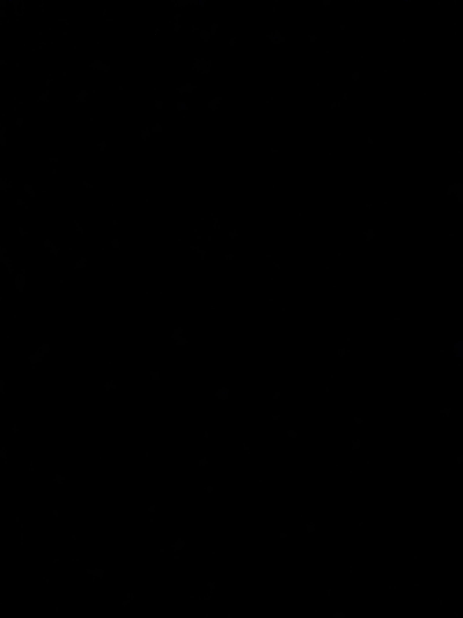 X profile banner