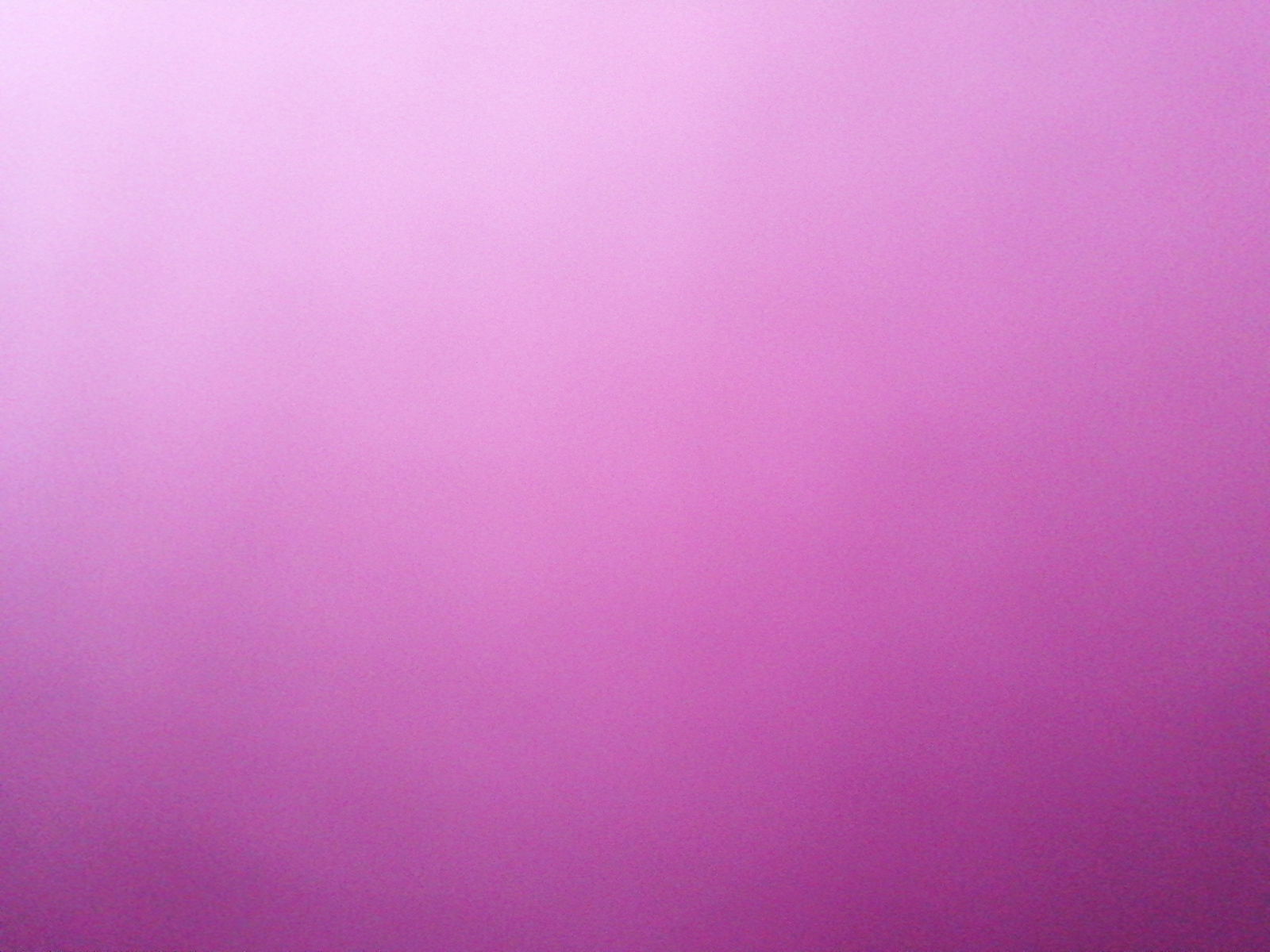 CutsieToes profile banner