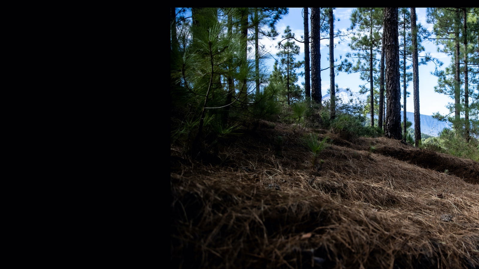 u7854583 profile banner