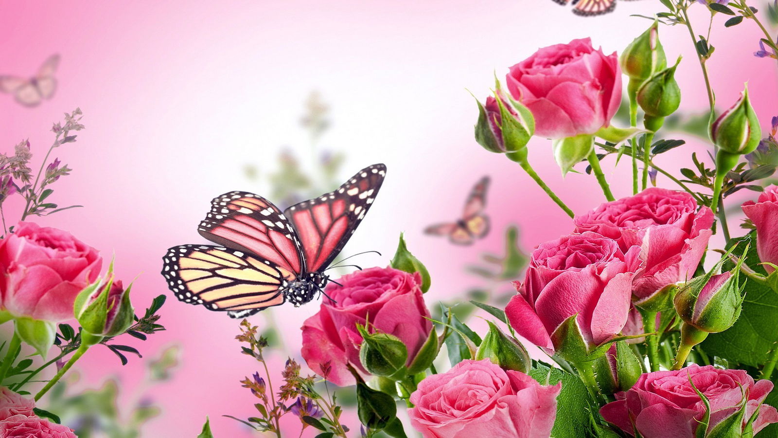 Kink Queen profile banner