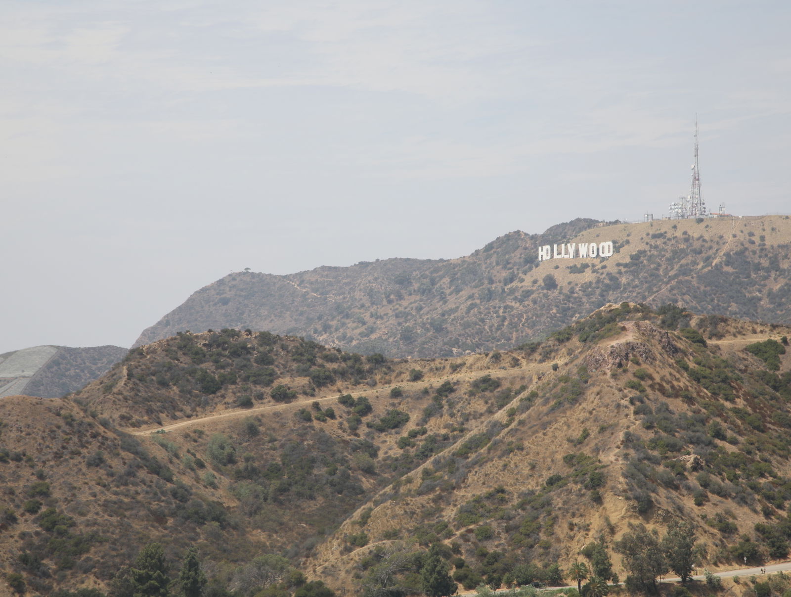 HOUSE OF BUNS | Shot by @Uptownfilms400 profile banner