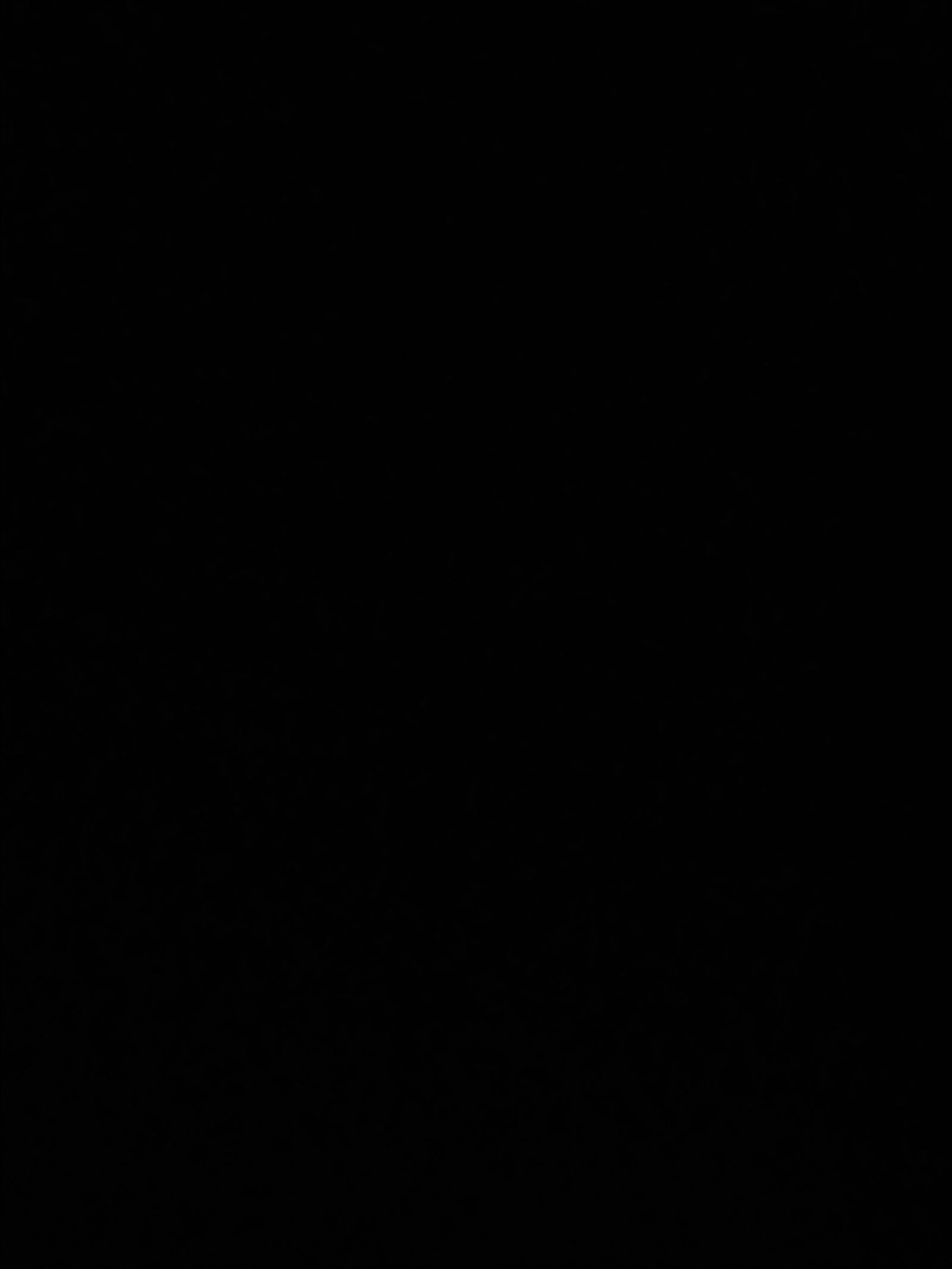 User202498 profile banner