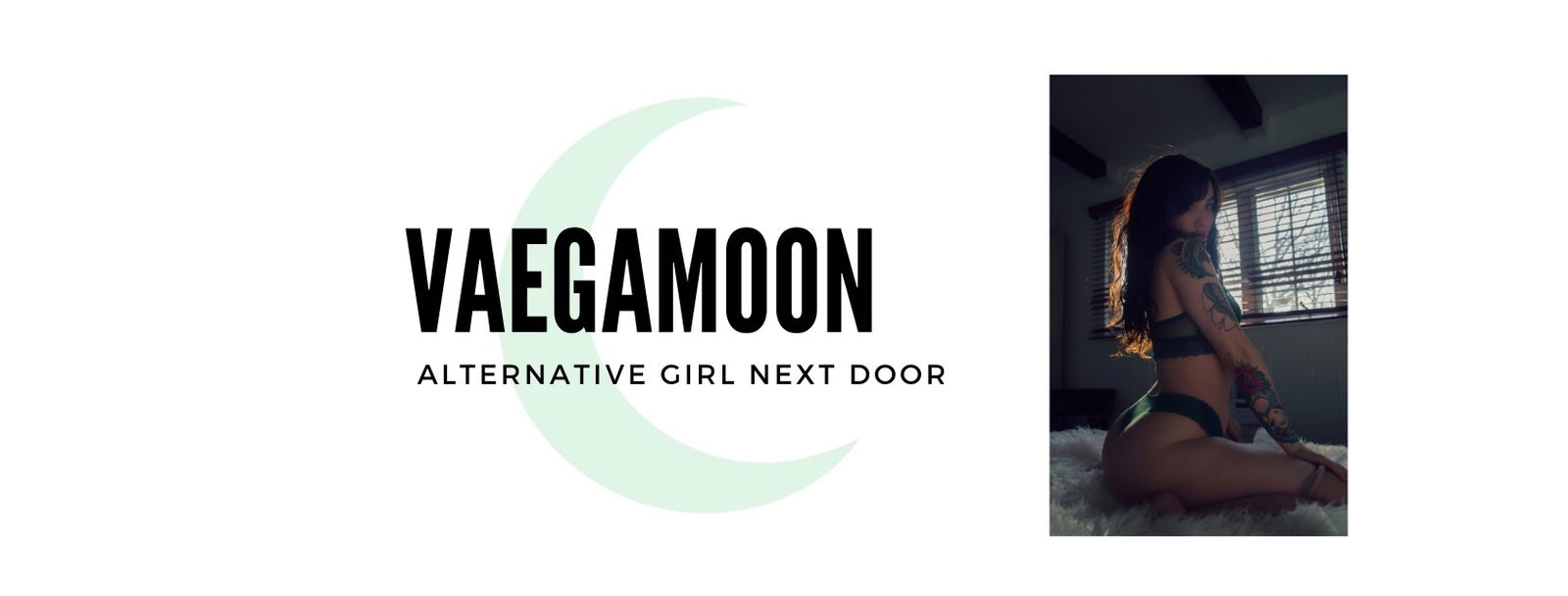 vaegasuicide banner