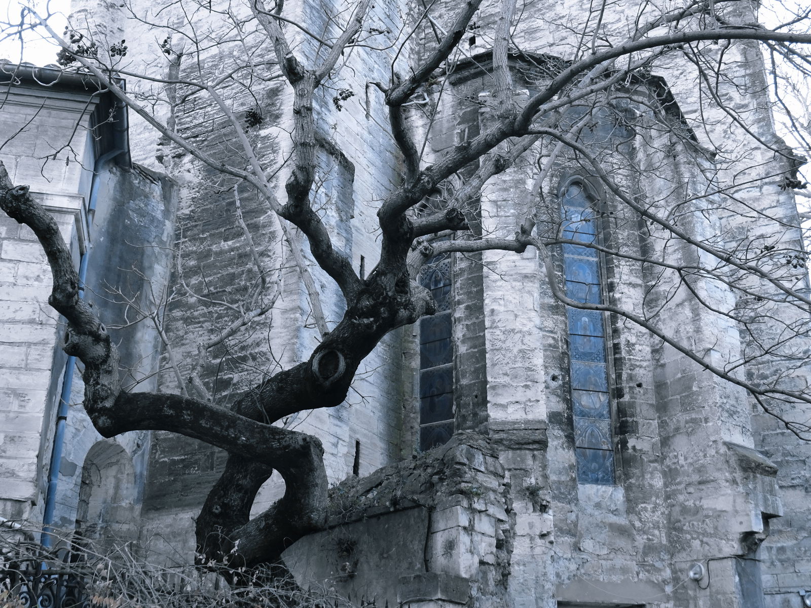 Carl Lepeltier profile banner