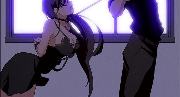 bunnie profile banner