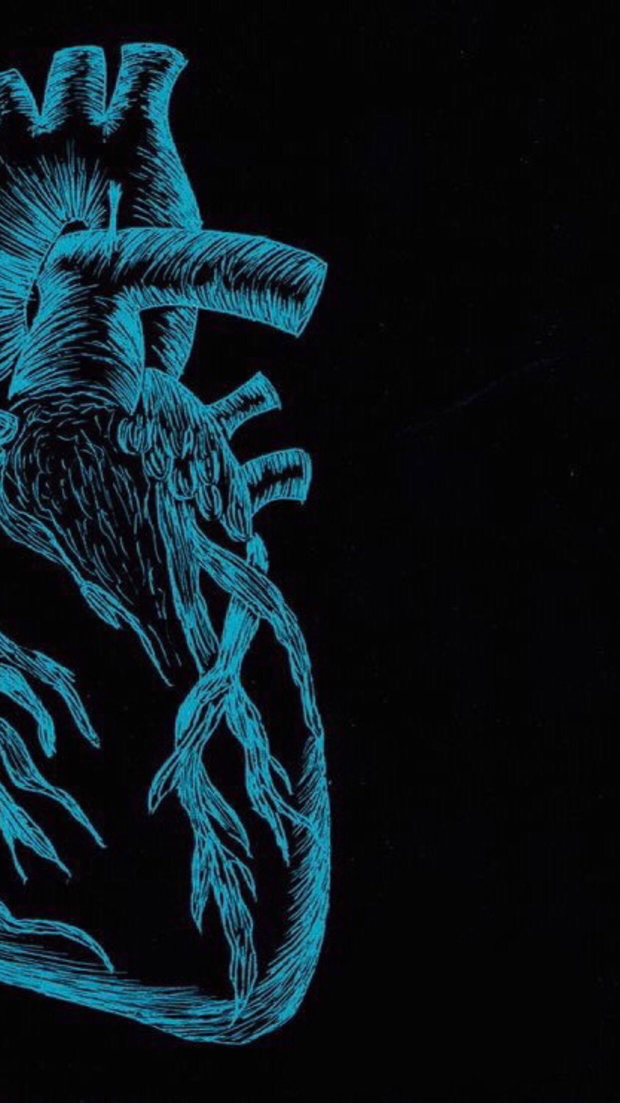 Václav profile banner