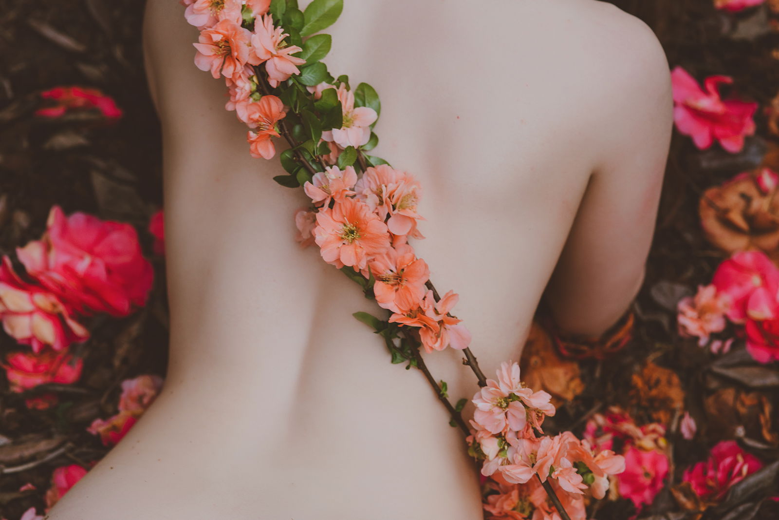 Nicole Vaunt profile banner