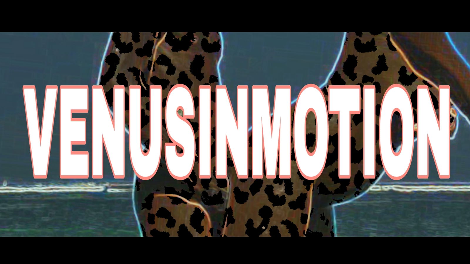 Venus in Motion profile banner