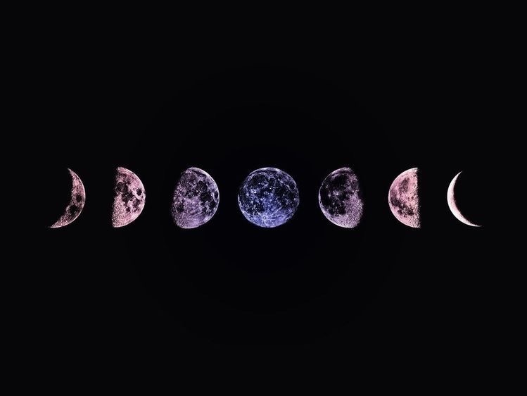 Venus Dagger profile banner
