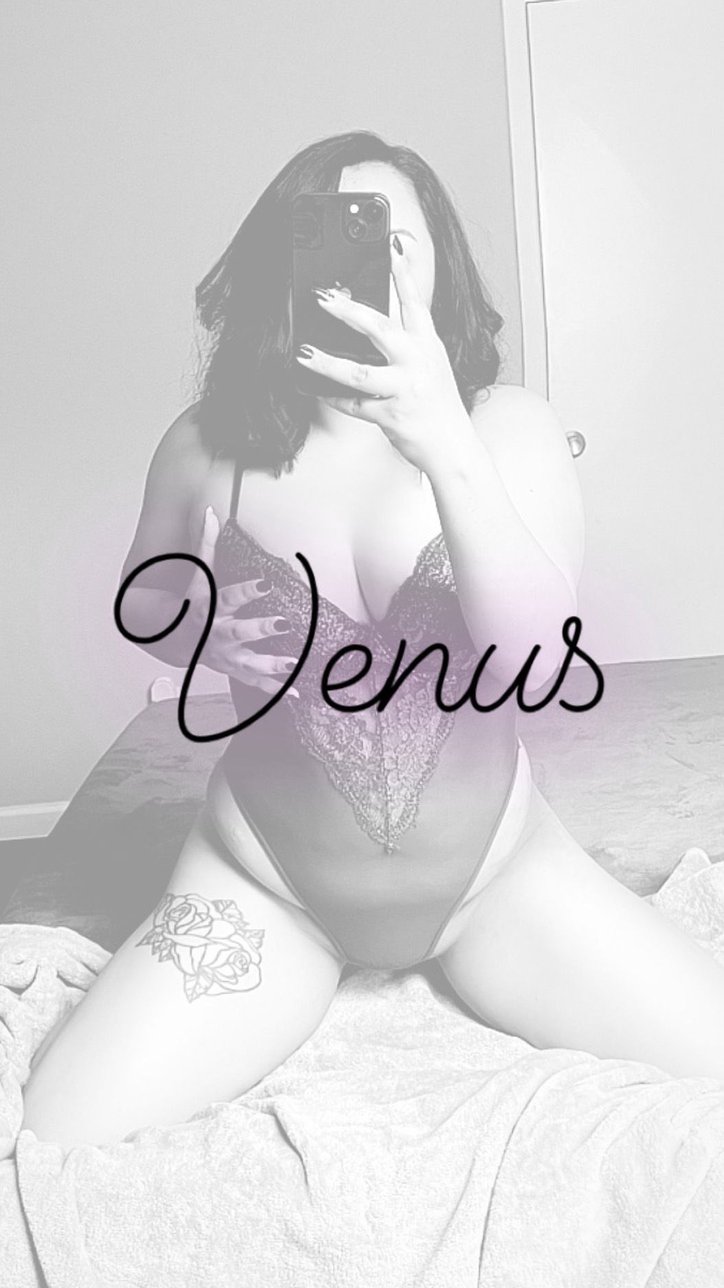 Venus profile banner