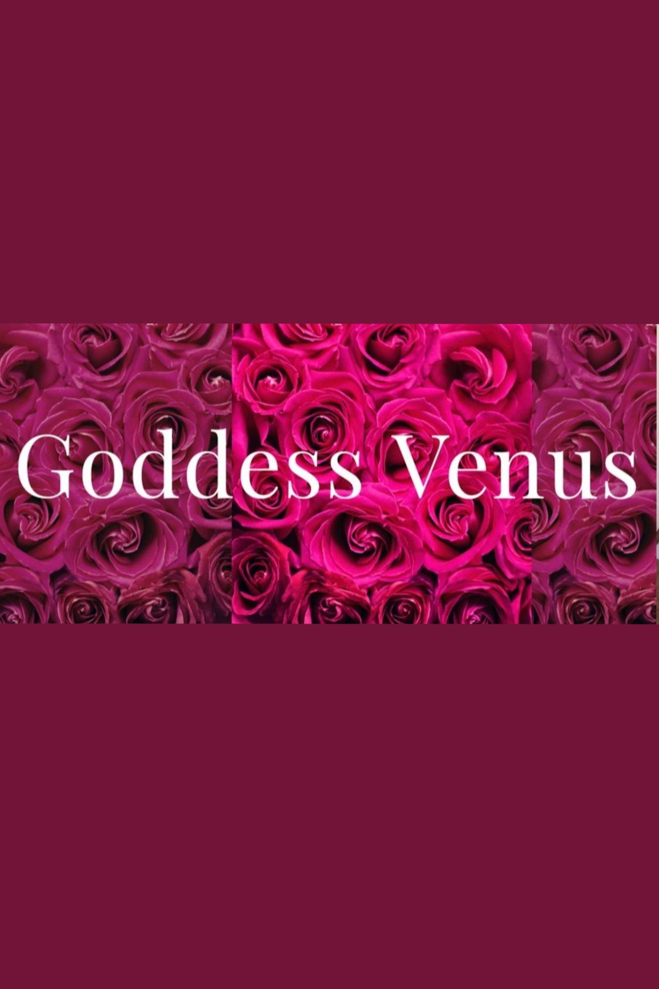 Venus🦋 profile banner