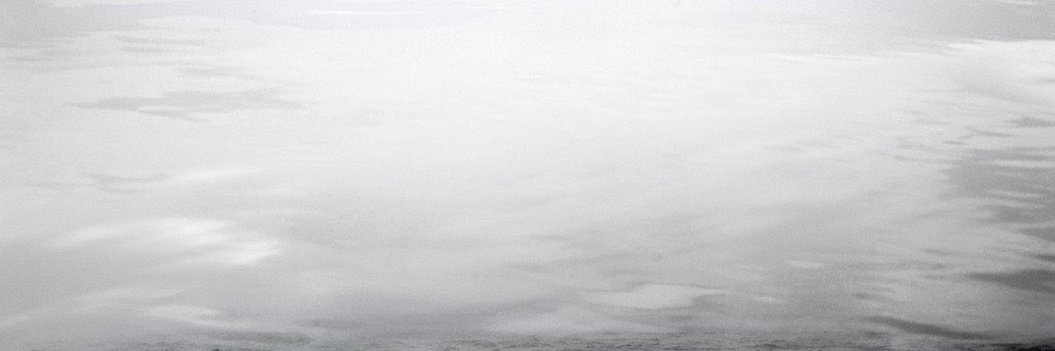 darui profile banner