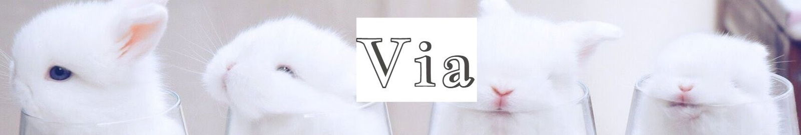 Via profile banner