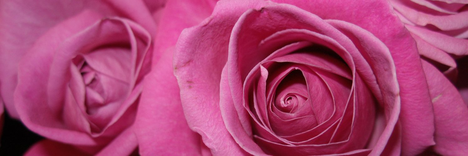vickiirose banner