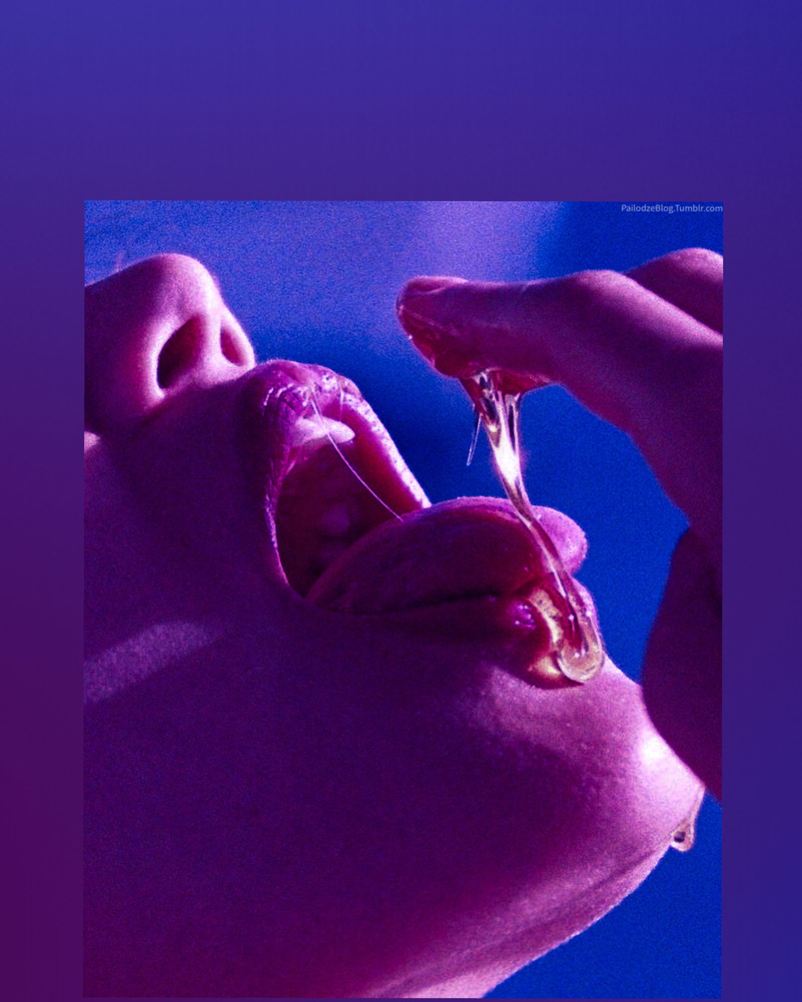 🌸Born To Tease🌸 profile banner