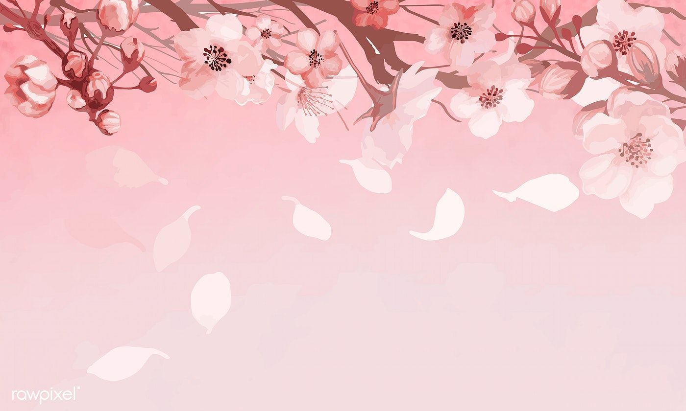 victoriasalvatore banner