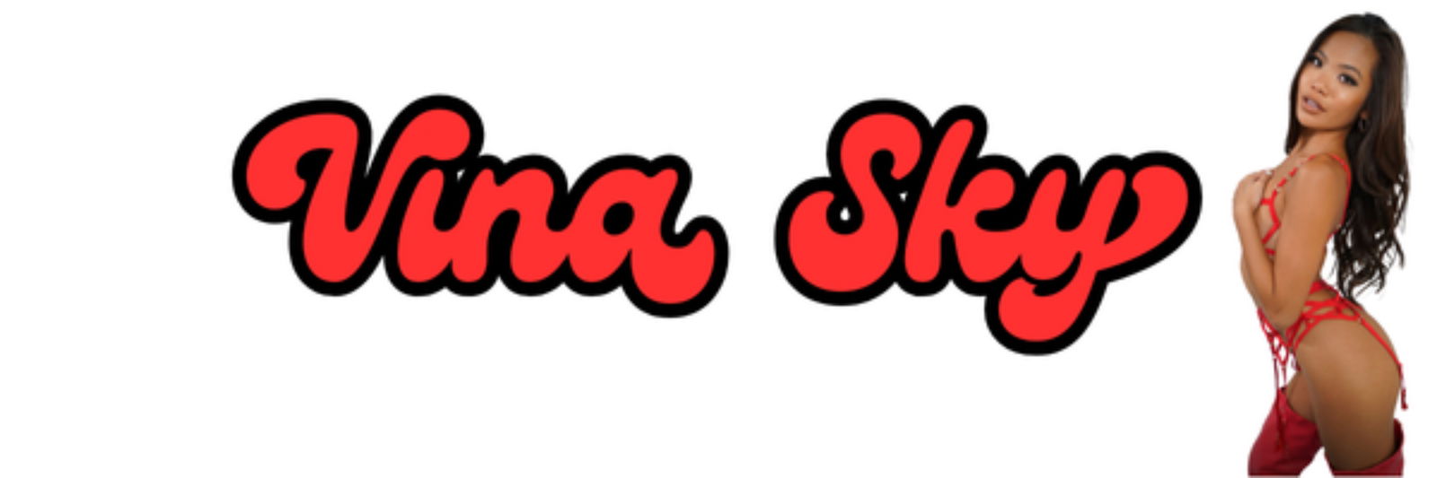 vinaskyy banner