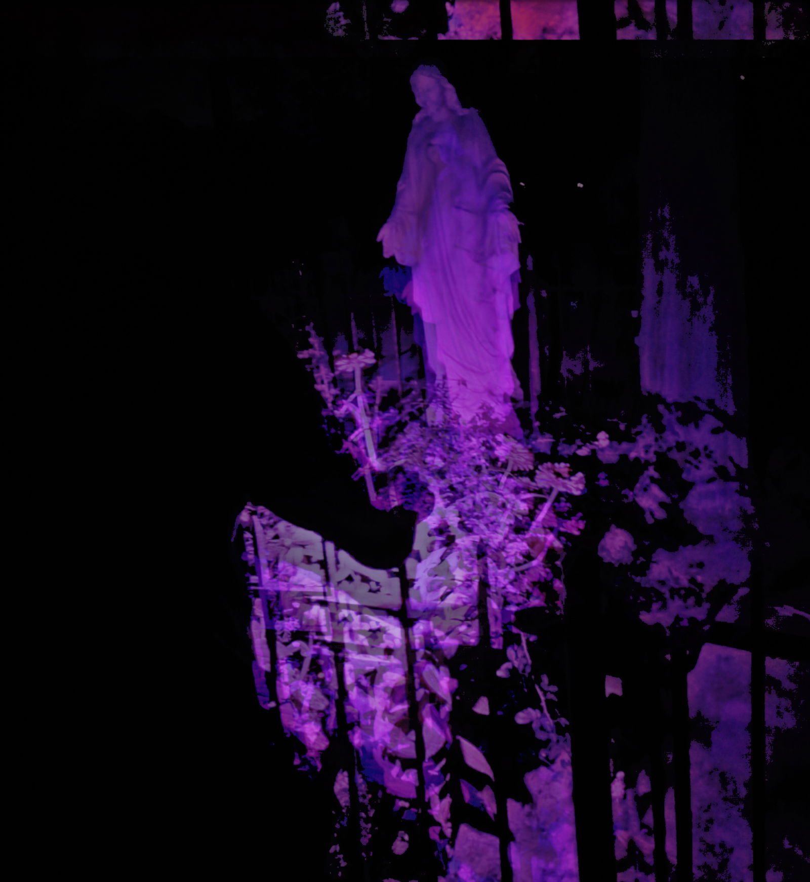 Violet Graveyard profile banner